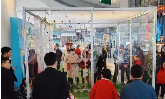 全世界最珍稀十种蝴蝶,世界上的八大稀有蝴蝶