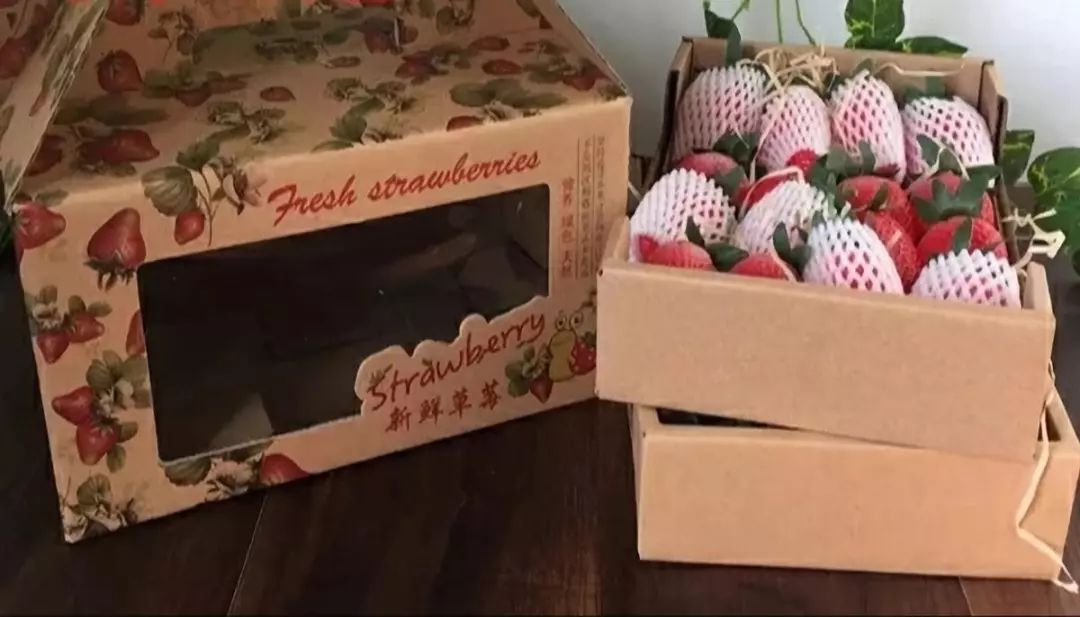 全世界最珍稀十种蝴蝶,世界上的八大稀有蝴蝶