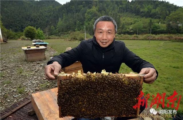 壮丽70年奋斗新时代课堂笔记,壮丽70年奋进新时代系列报道