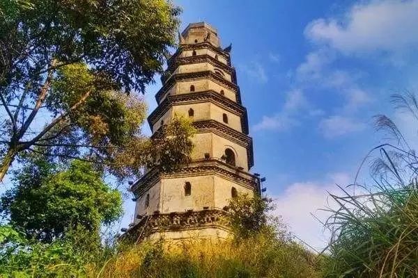 樱桃熟了采摘园乐山,宜宾樱桃几月份成熟