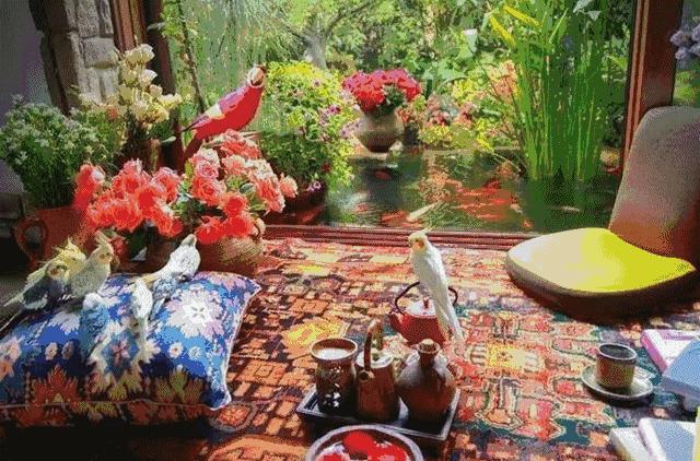 孔雀公主杨丽萍漂亮,孔雀公主杨丽萍怎么样