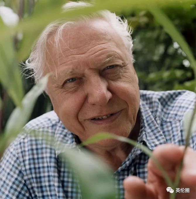 bbc经典必看十大纪录片,bbc十大经典纪录片9.9