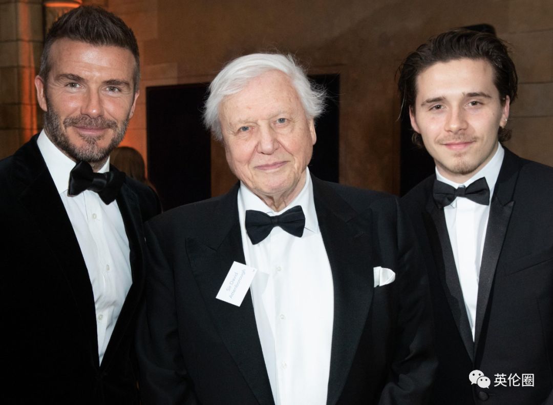 bbc经典必看十大纪录片,bbc十大经典纪录片9.9