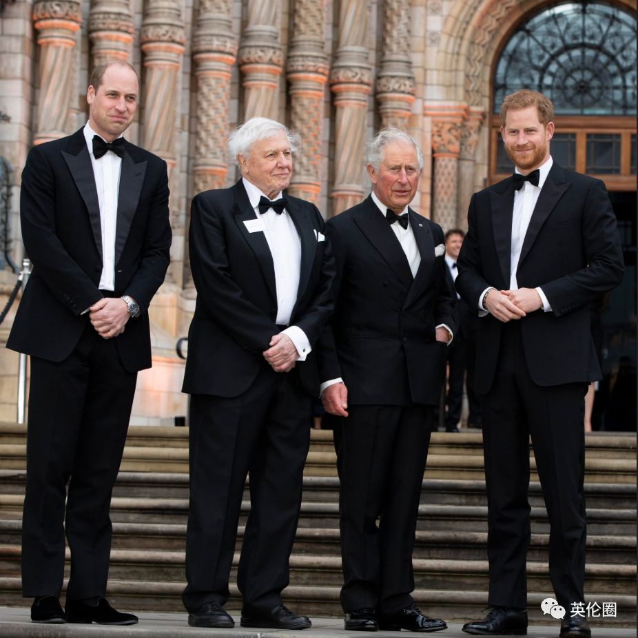 bbc经典必看十大纪录片,bbc十大经典纪录片9.9