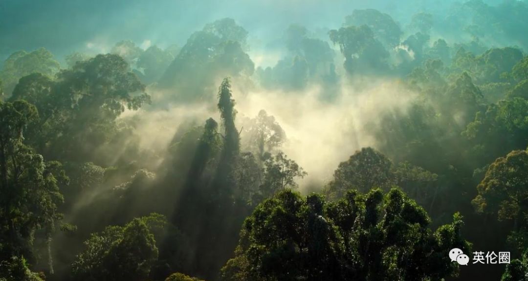 bbc经典必看十大纪录片,bbc十大经典纪录片9.9