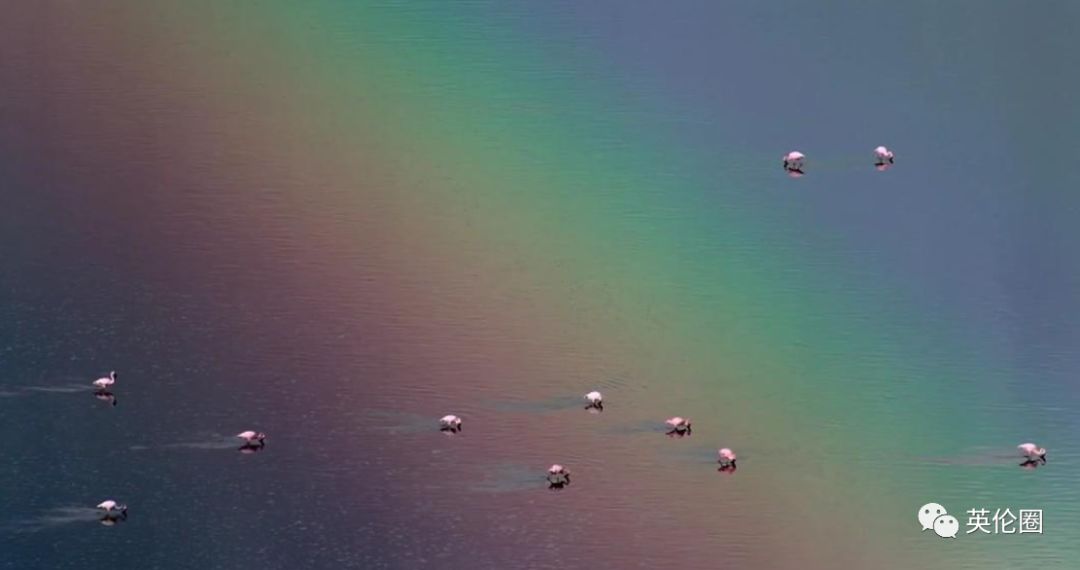 bbc经典必看十大纪录片,bbc十大经典纪录片9.9