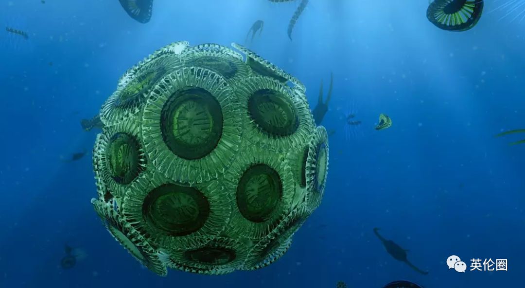 bbc经典必看十大纪录片,bbc十大经典纪录片9.9