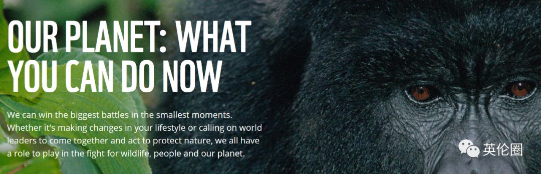 bbc经典必看十大纪录片,bbc十大经典纪录片9.9