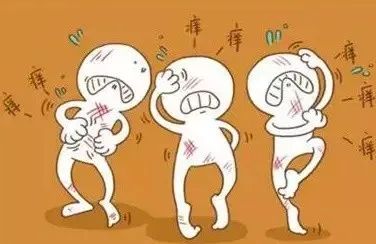 夏天虫子叮咬怎么处理,天气渐暖蚊虫增多