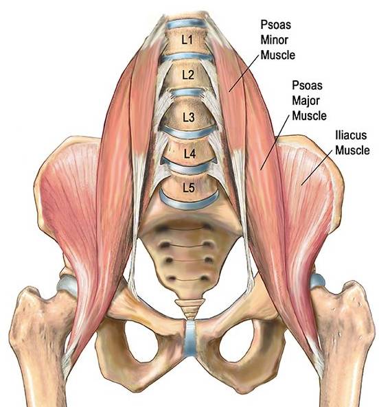 瑜伽初级教程改善宫寒在家练,调理宫寒瑜伽动作