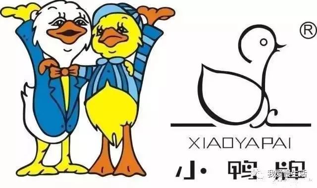 李勇刚小鸭,小鸭集团董事长李永刚