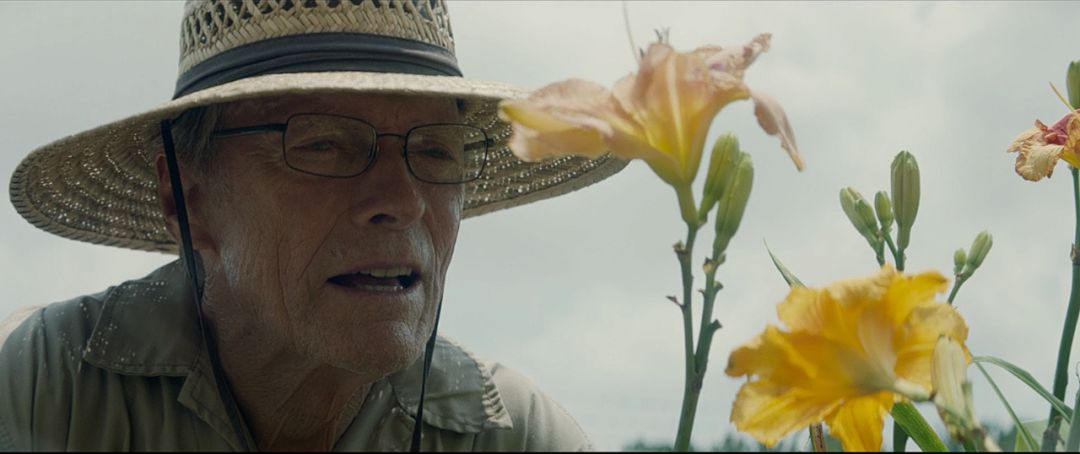 他运毒，他招妓，却给世界带来了温暖