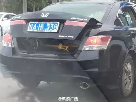 柳州有共享小电驴吗,共享电单车柳州