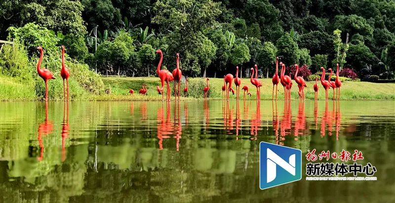 攻略来了！福州地铁2号线，带你打卡美景美食！