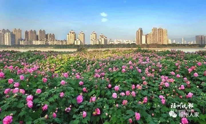 攻略来了！福州地铁2号线，带你打卡美景美食！