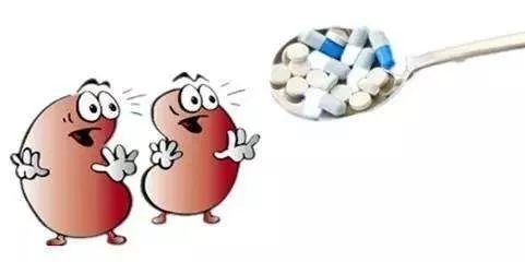 药物在体内要经过哪些过程,药物进入体内器官的过程