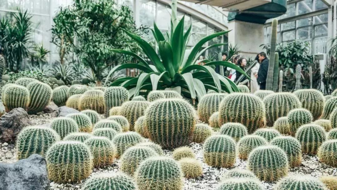 成都地铁游7号线游最佳景点,成都地铁10号线有哪些景点