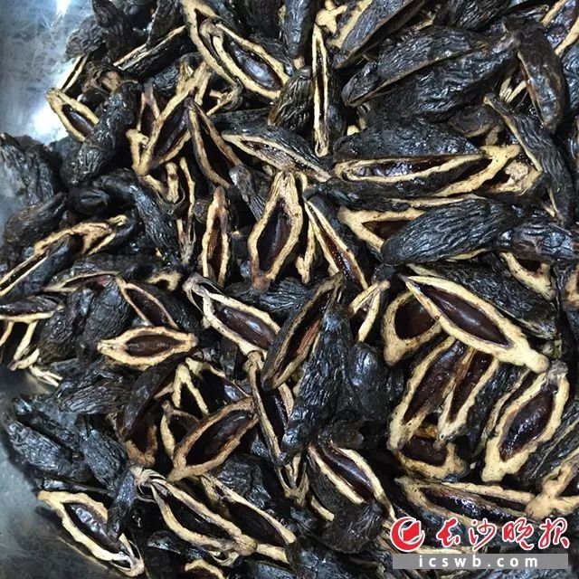 吃槟榔得口腔癌一年死多少人,嚼槟榔患口腔癌的有多少人