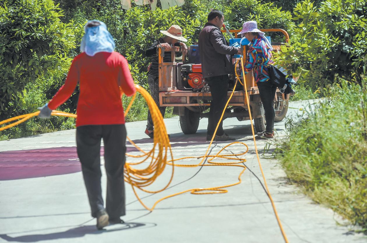 田间为啥飘起红气球人民日报报道成都“土发明”
