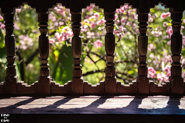 又见大理,又见丽江