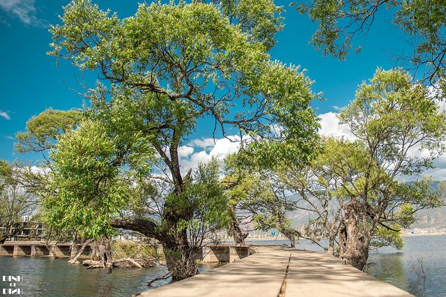 又见大理,又见丽江