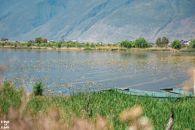 又见大理,又见丽江