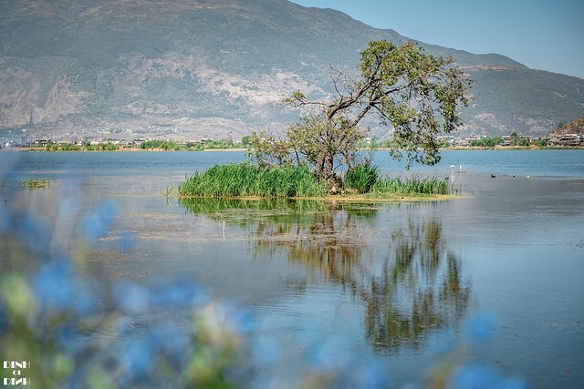 又见大理,又见丽江