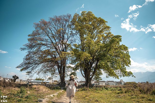 又见大理,又见丽江