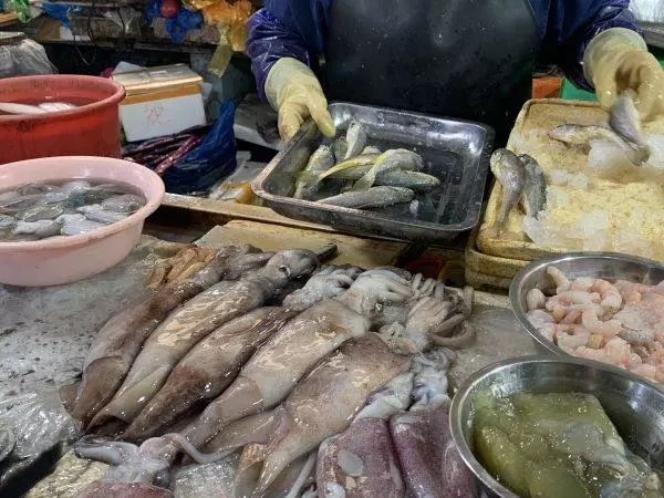 禁渔期之前海鲜价格,禁渔期后的海鲜价格