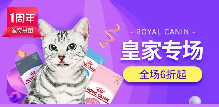 秒杀1元猫窝,爆款99元猫窝套餐