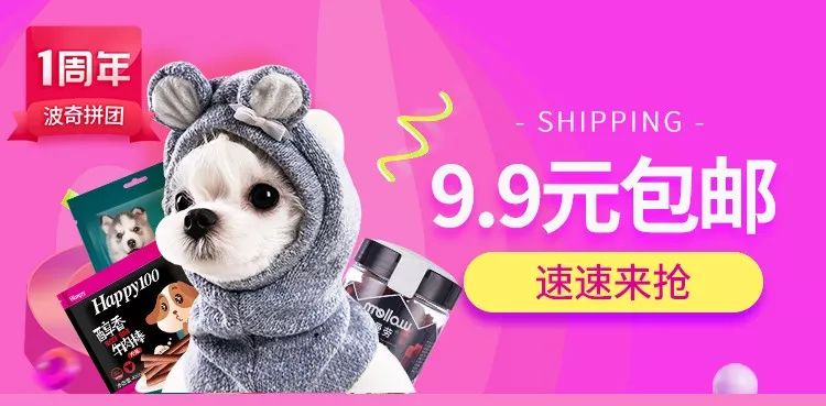 秒杀1元猫窝,爆款99元猫窝套餐