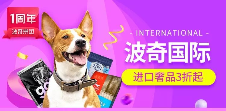 秒杀1元猫窝,爆款99元猫窝套餐