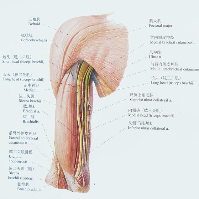 这样和女朋友睡觉，更持久