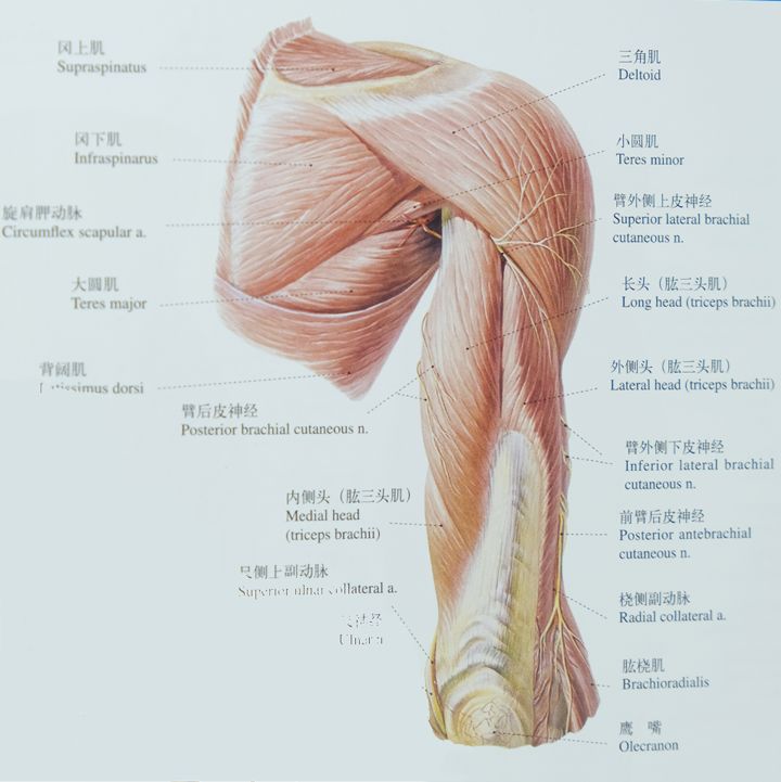 这样和女朋友睡觉，更持久
