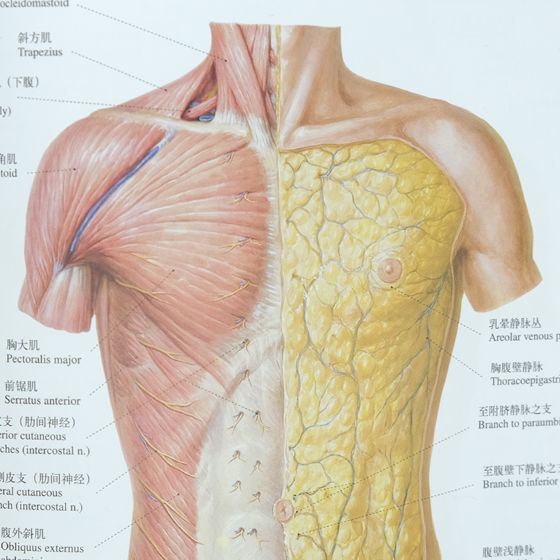 这样和女朋友睡觉，更持久