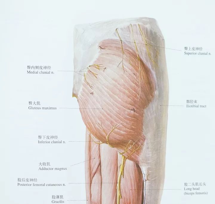 这样和女朋友睡觉，更持久