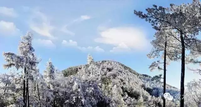 尤溪汤川最高山峰排名,尤溪十大高峰排名