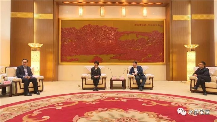 王逍霄,王逍霄演讲视频