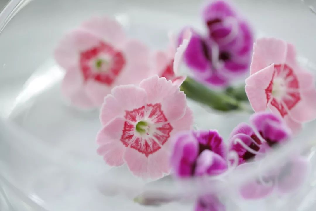 搴蜂箖棣╨ove,搴蜂箖棣╨ove缁勫悎