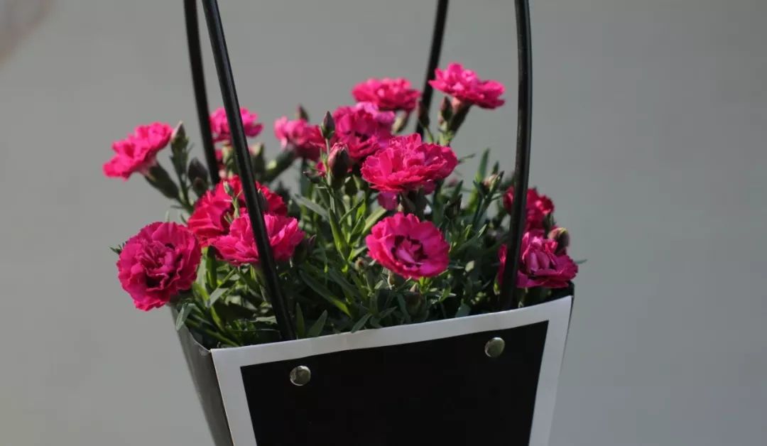 搴蜂箖棣╨ove,搴蜂箖棣╨ove缁勫悎