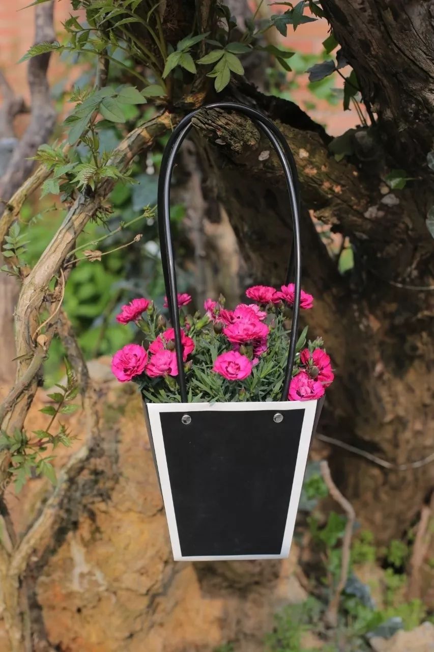 搴蜂箖棣╨ove,搴蜂箖棣╨ove缁勫悎