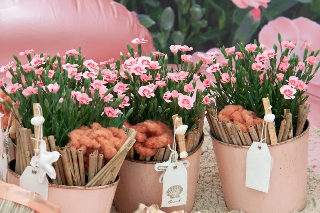 搴蜂箖棣╨ove,搴蜂箖棣╨ove缁勫悎