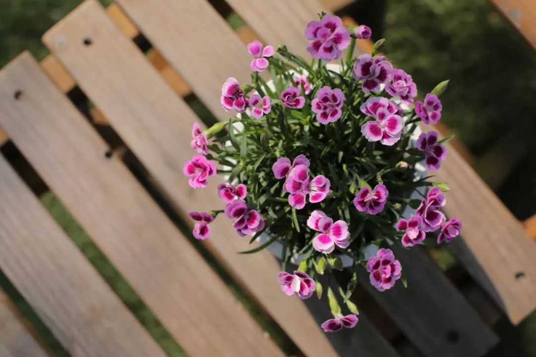 搴蜂箖棣╨ove,搴蜂箖棣╨ove缁勫悎