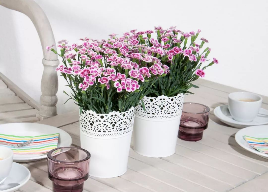 搴蜂箖棣╨ove,搴蜂箖棣╨ove缁勫悎