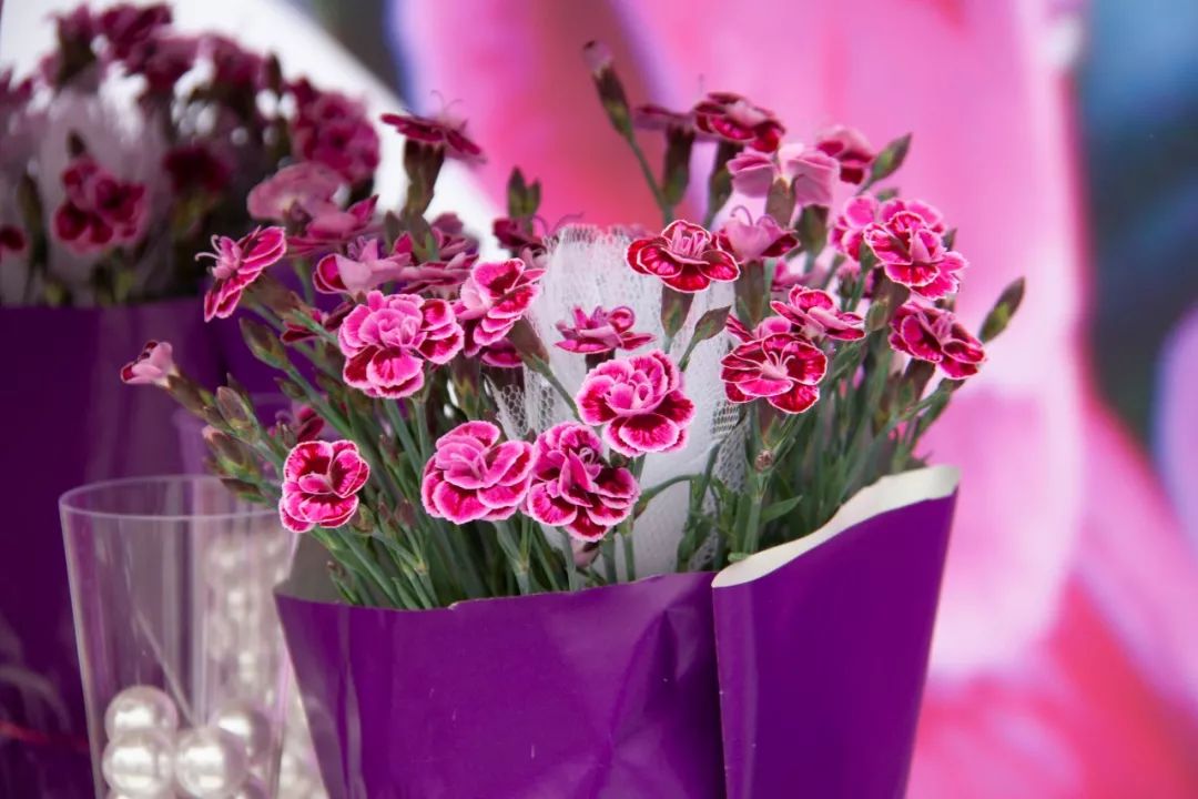 搴蜂箖棣╨ove,搴蜂箖棣╨ove缁勫悎