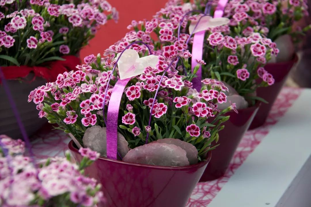 搴蜂箖棣╨ove,搴蜂箖棣╨ove缁勫悎