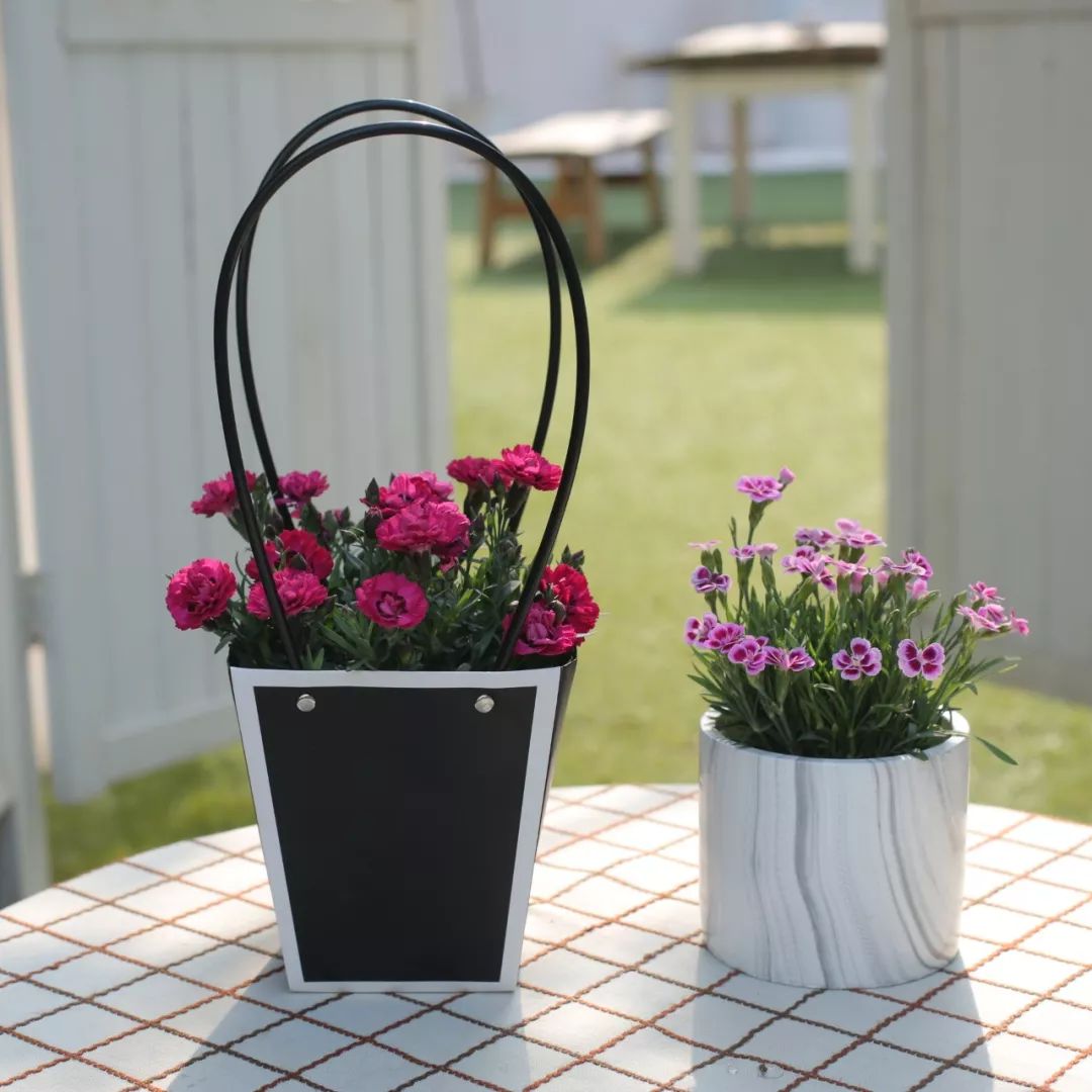 搴蜂箖棣╨ove,搴蜂箖棣╨ove缁勫悎