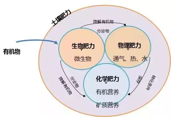 有机肥不为人知的秘密,史上最全的有机肥