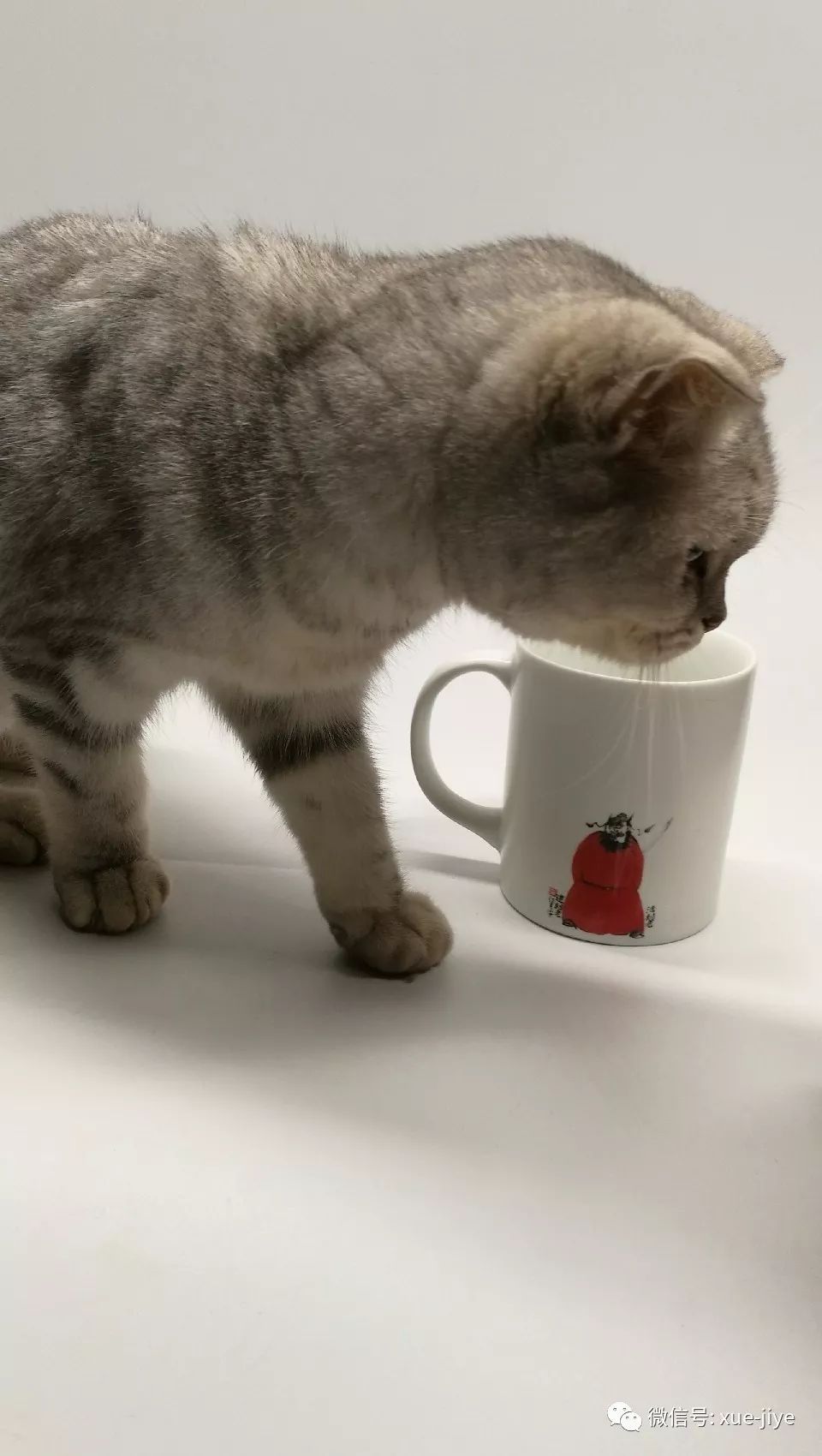 钟馗捉鬼的姿势,钟馗是捉鬼还是驱鬼的