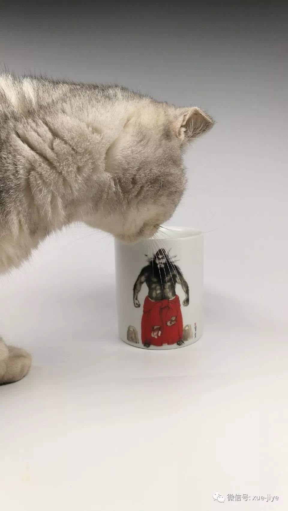 钟馗捉鬼的姿势,钟馗是捉鬼还是驱鬼的